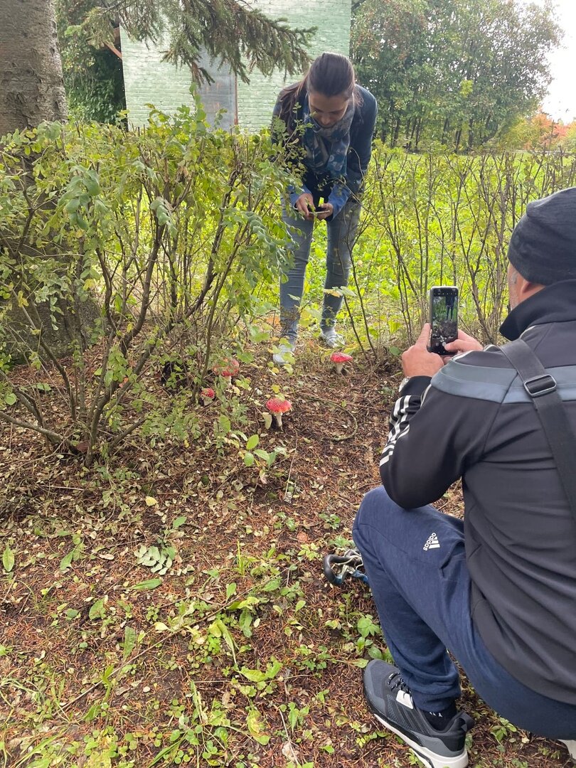 Грибы могут быть не съедобными на каждый день, но при правильном приготовлении в руках образованного специалиста они обретают полезность. Так и в статье, отношения могут долгие годы быть "грибковыми нехорошими спорами", а в трудную минуту иметь противоположное значение.
