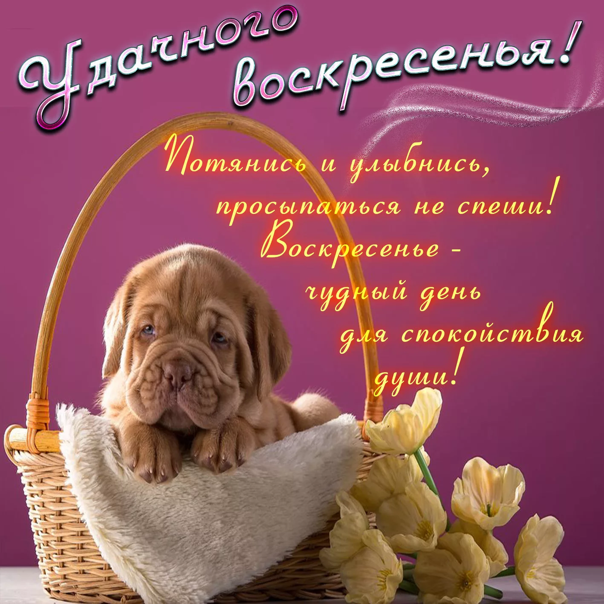 ЯНДЕКС КАРТИНКИ