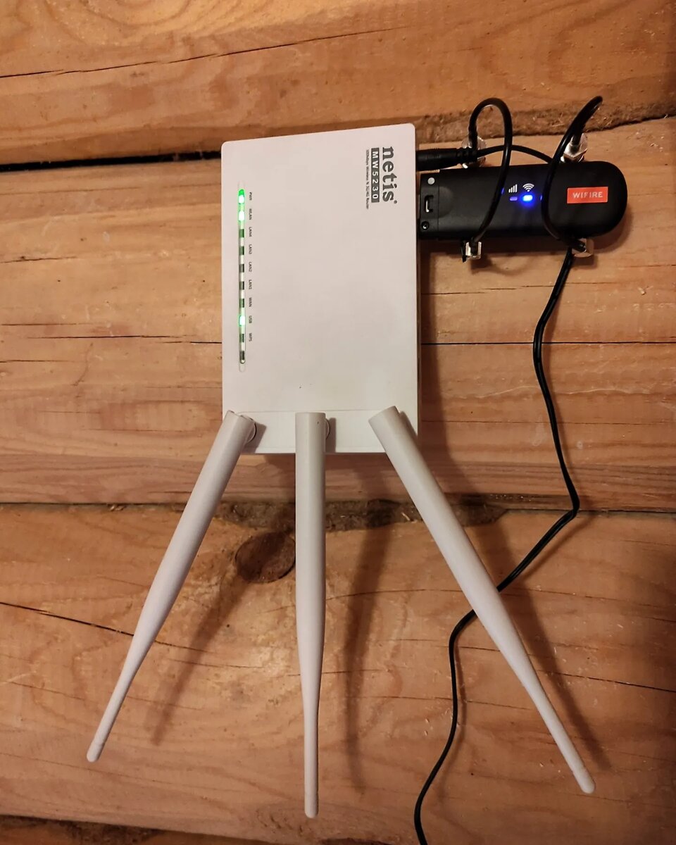 Роутер Нетис