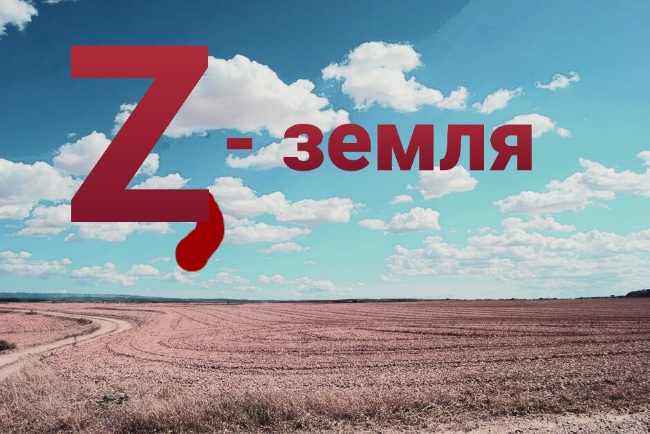 Источник фото pexels.com 