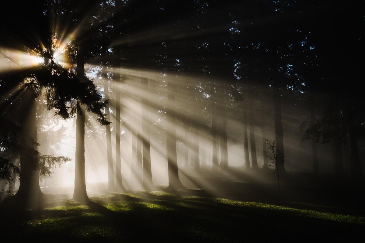 фото:pixabay.com