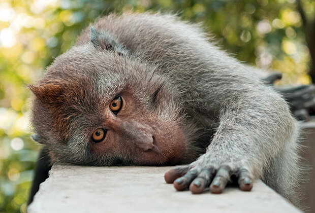 Фото: Shutterstock