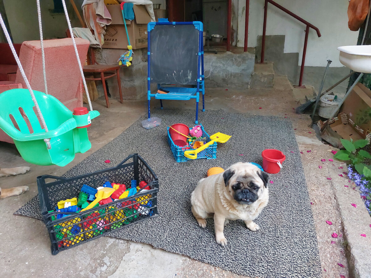 Наша игровая зона во дворе