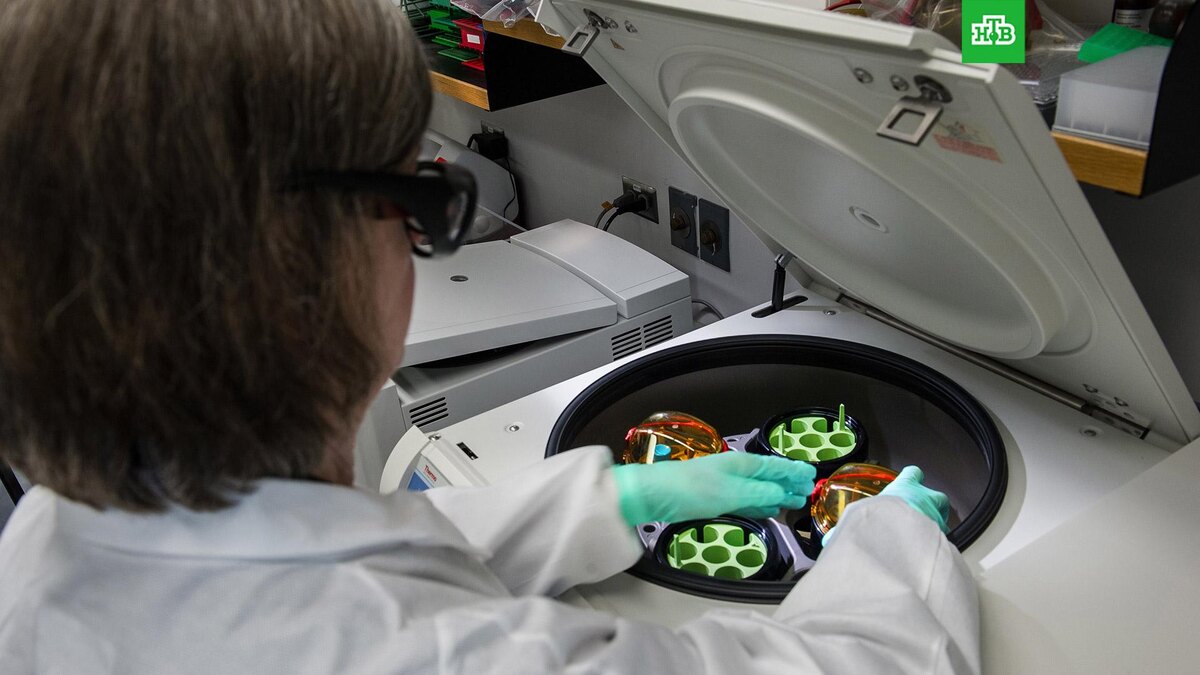    Фото: unsplash.com