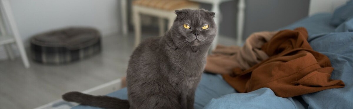  Источник: Freepik