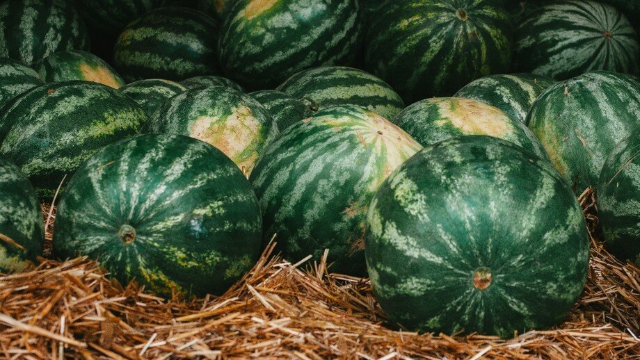 Фото: Unsplash.com