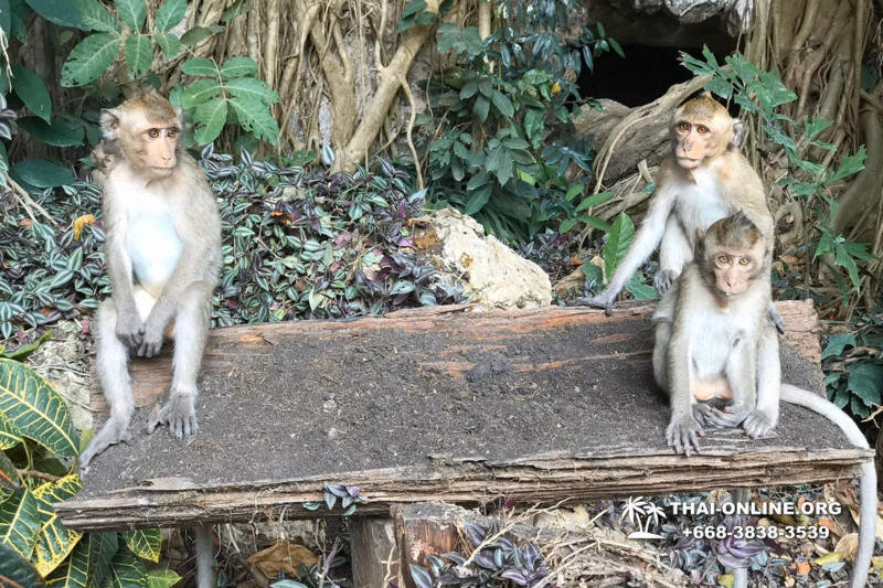 "Следопыт" - экскурсия из Паттайи по провинции Чонбури, едем завтра 15 августа 2022, есть места!