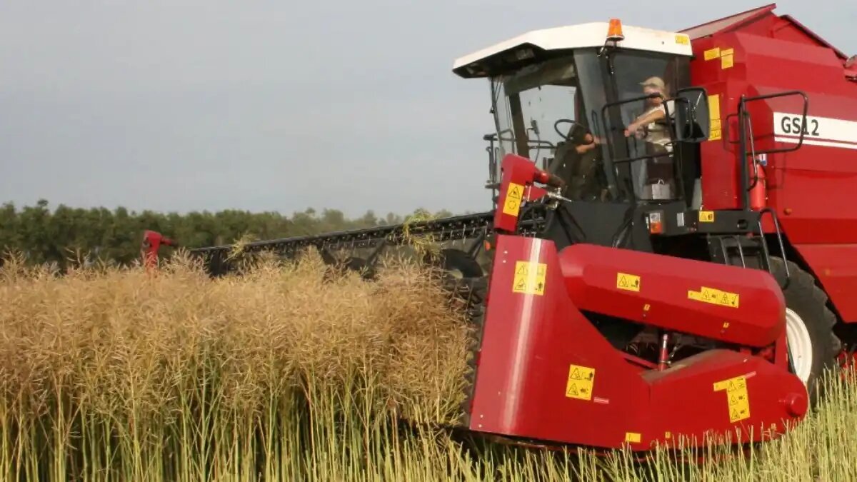 Фото:gomselmash.by Уборка озимого рапса.