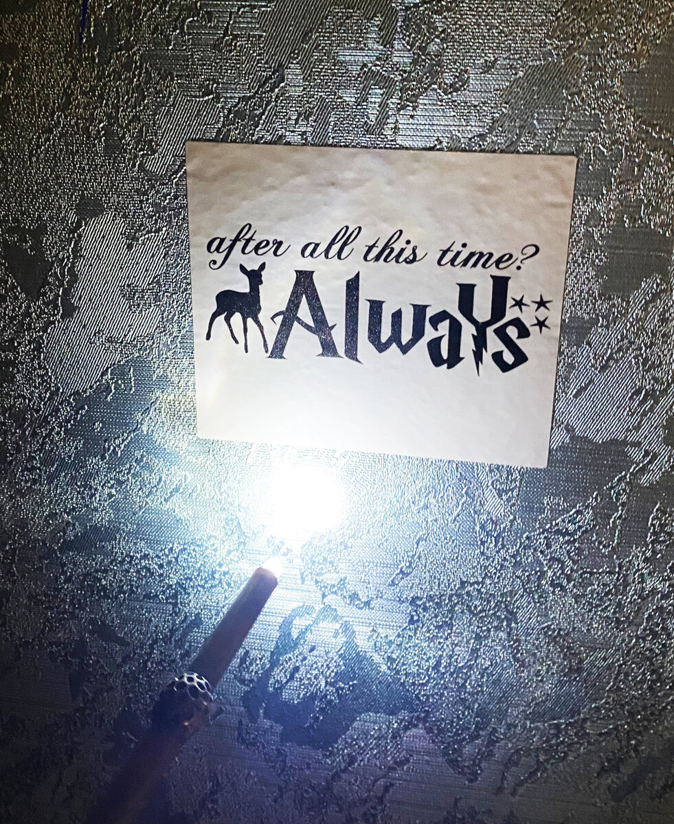 Фото из личного архива: LUMOS!