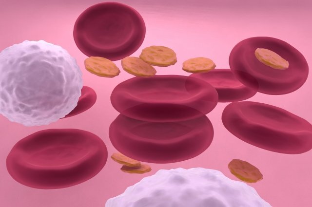    Почему повышаются лейкоциты в крови и когда это опасно?