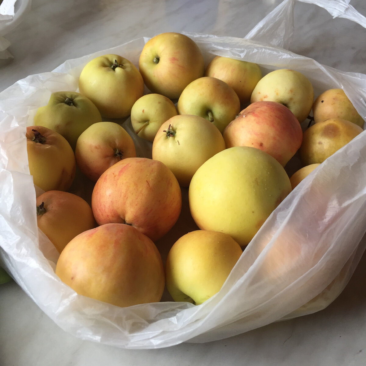 Грушовка готова.