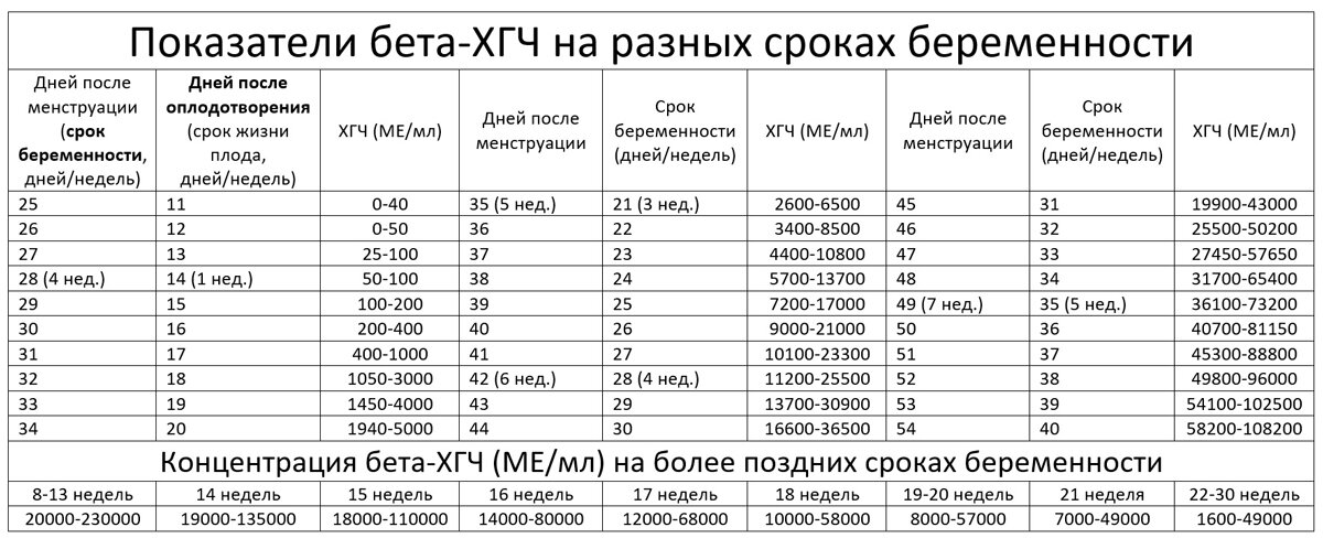 Сколько недель длится беременность - норма и отклонение