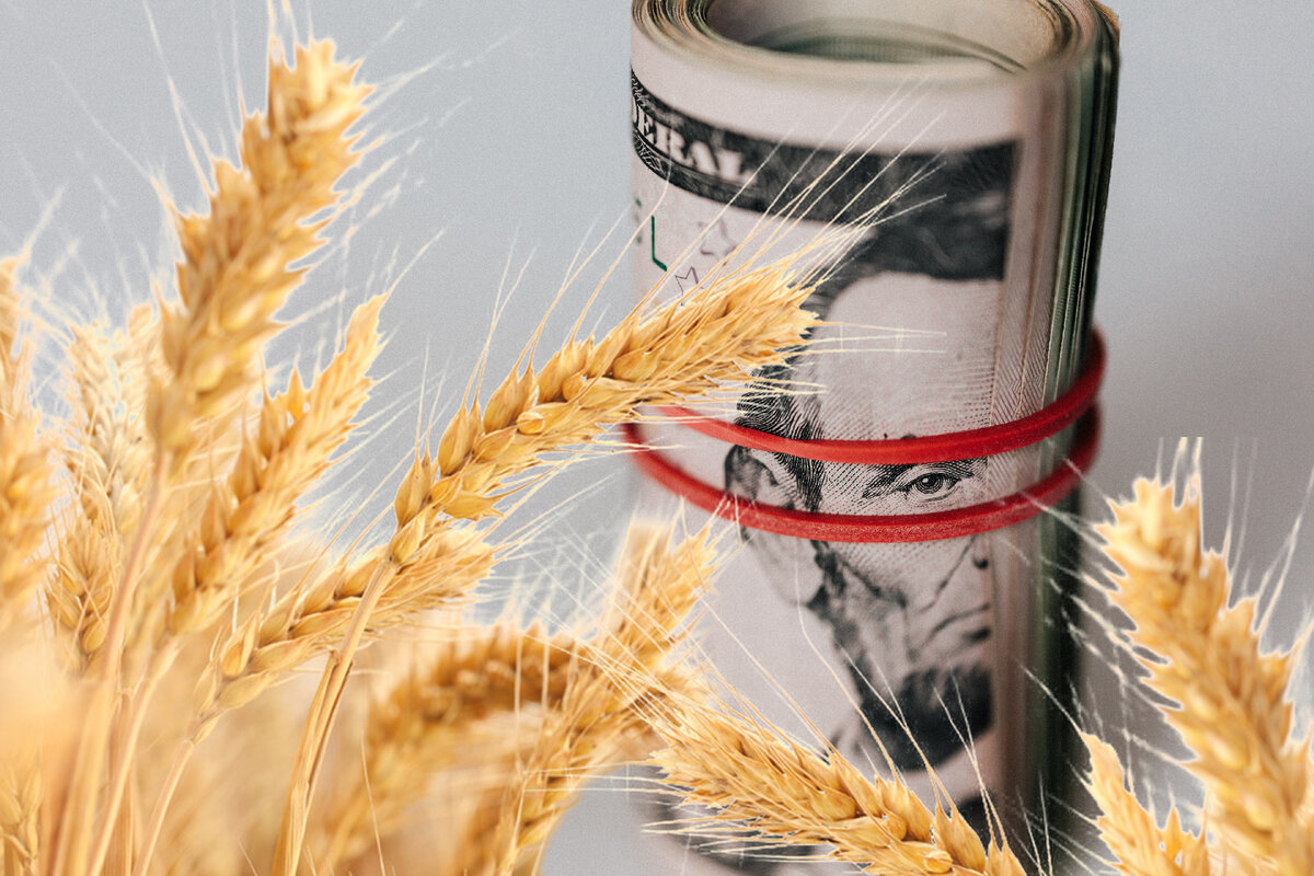 Продукция АПК конвертирует доллар в рубль