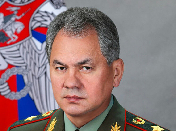     сергей Шойгу. фото: википедия