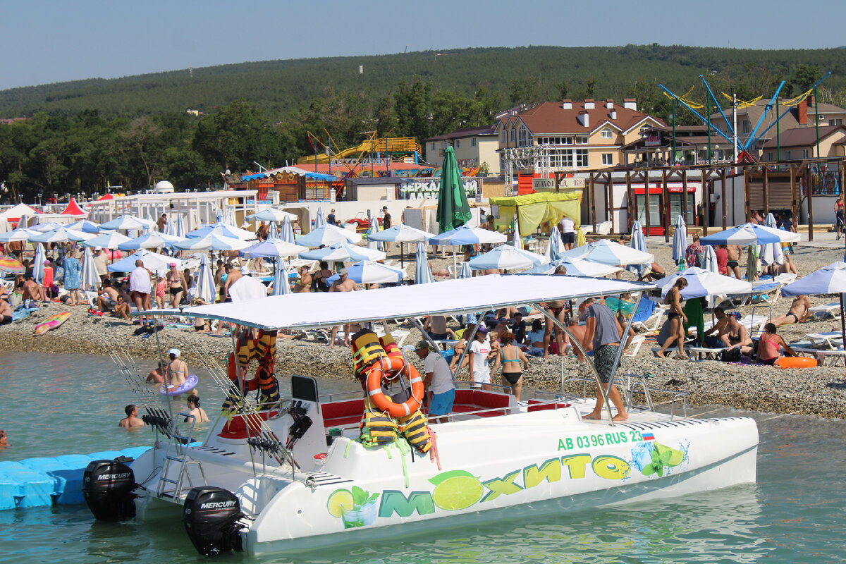 Уж лучше сейчас ехать к морю в Дагестан, но не в Краснодарский край.  Насмотрелась на отзывы и фото и в растерянности | Под зонтиком | Дзен