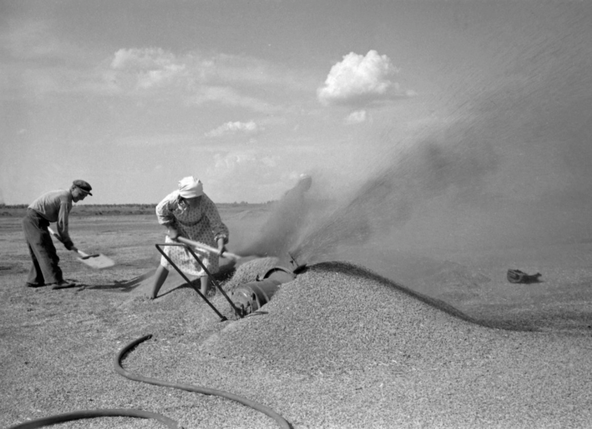 Фото Н. Калинина / РИА Новости