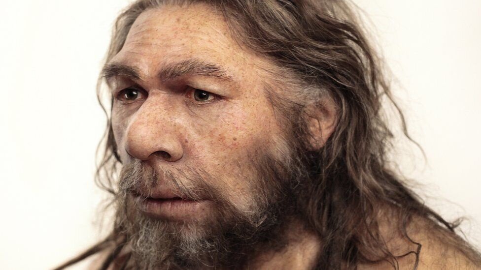 Реконструкция лица homo neanderthalensis / ©Flickr