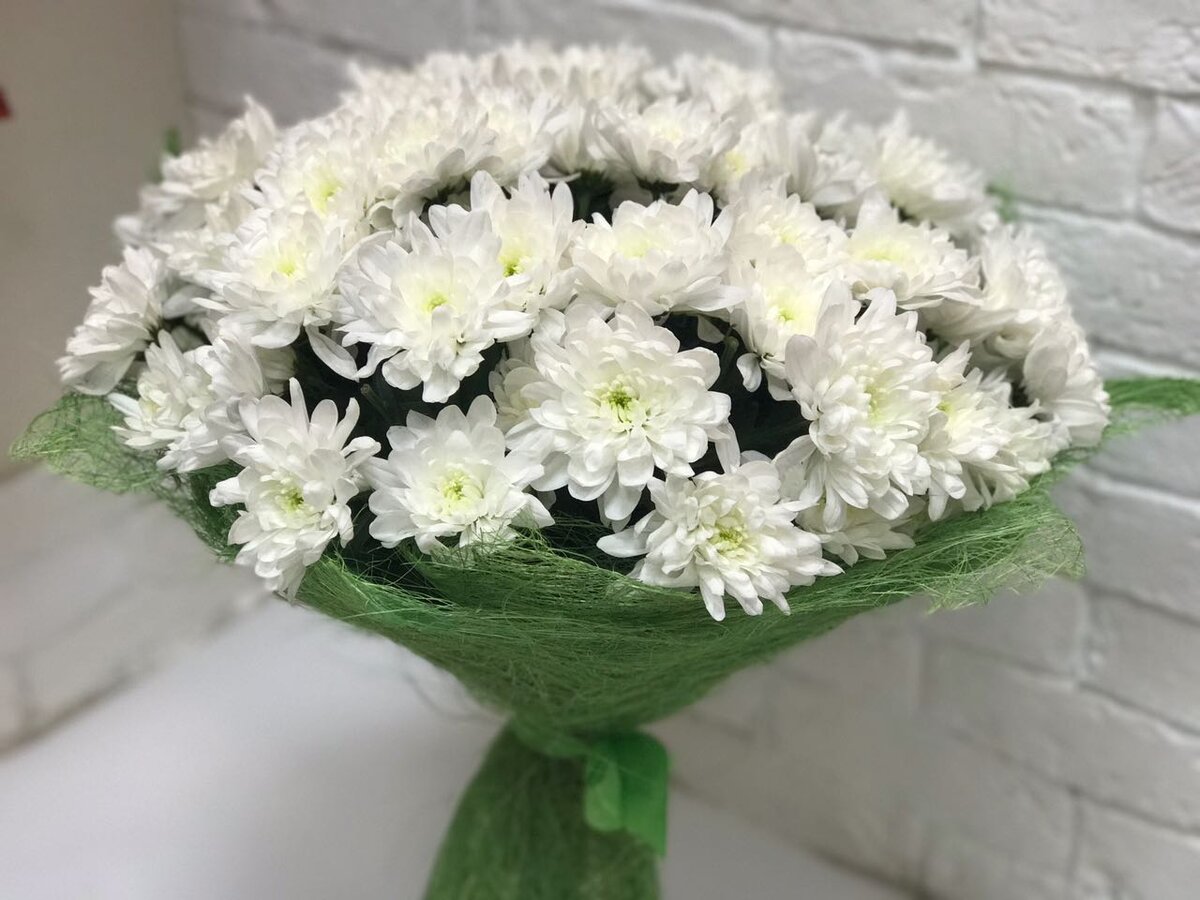  Фото из открытых источников.