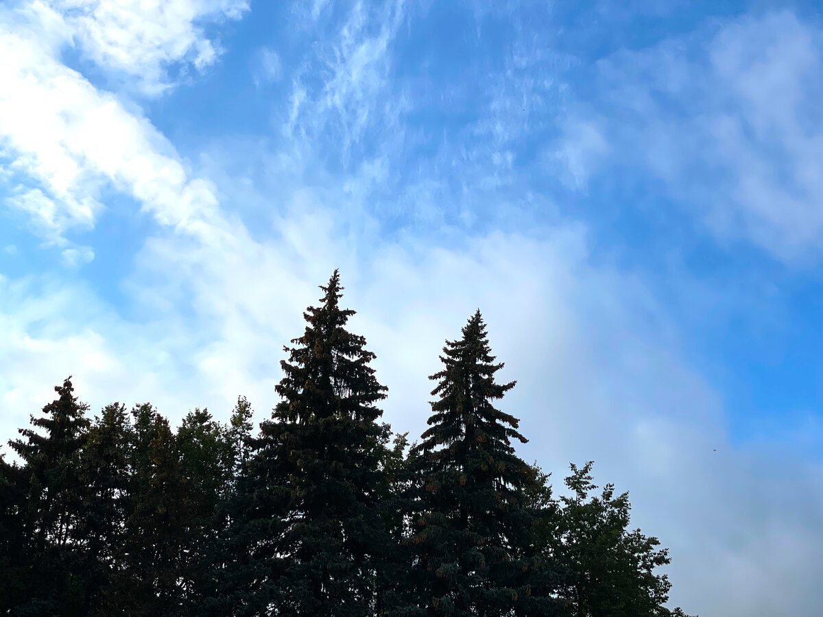 Москва в августе 2023г.