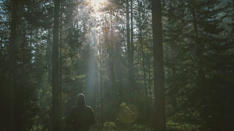 Фото: pxhere.com/СС0