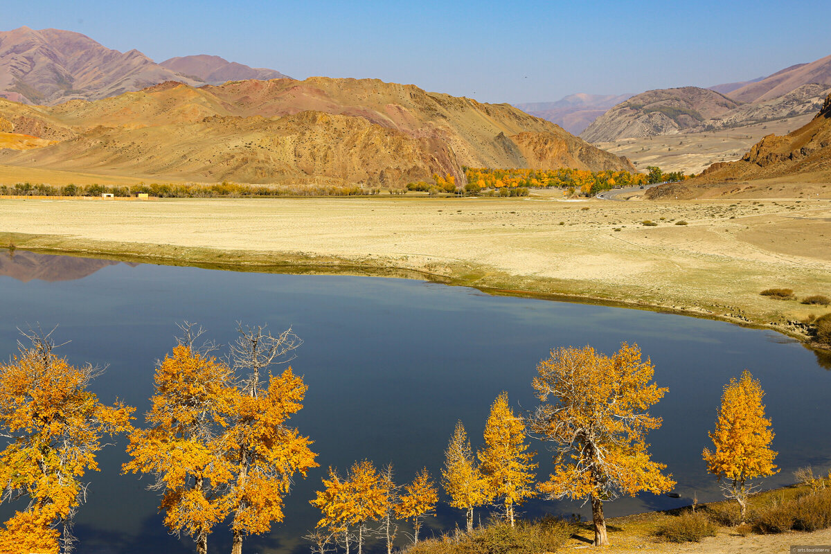 золотые горы алтая фото