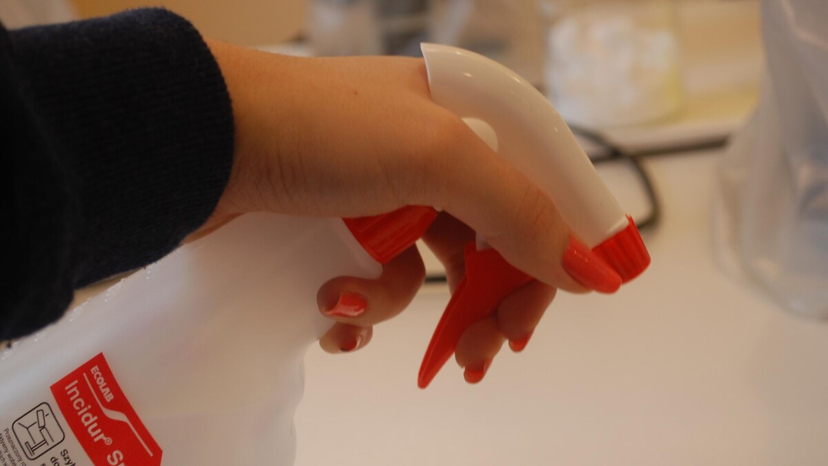    Россиян предупредили: в шоу Мясникова заявили об атаке "домашних" тварей © PxHere