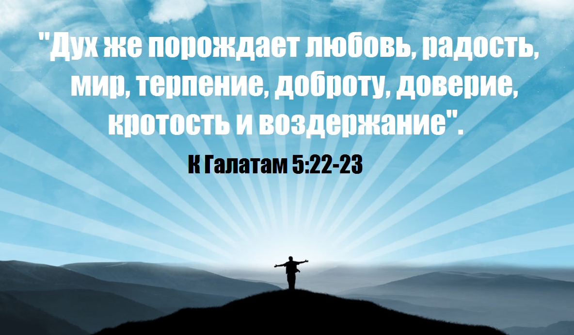Источник цитаты: современный перевод Библии