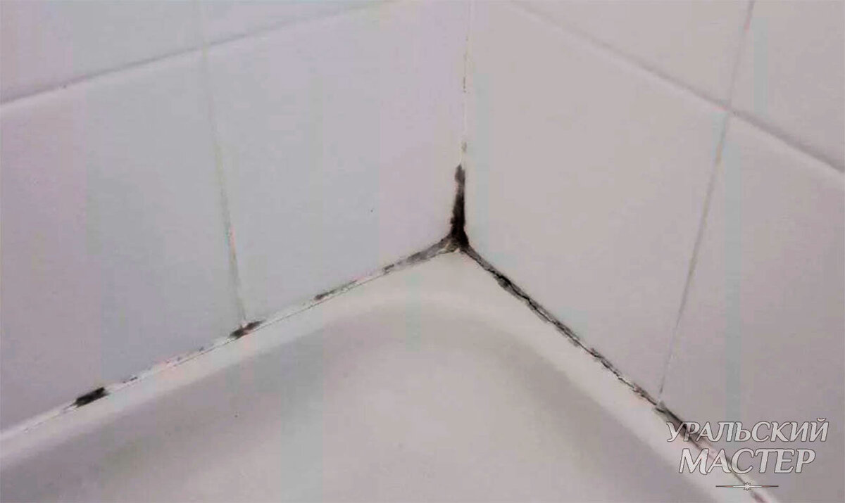 Отбелить швы плитки в ванной