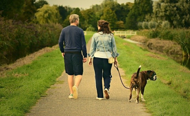  
Фото: pixabay.com