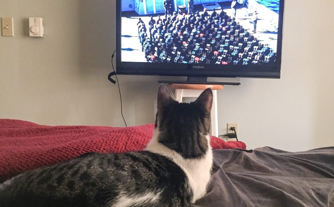 Котэ тв картинки