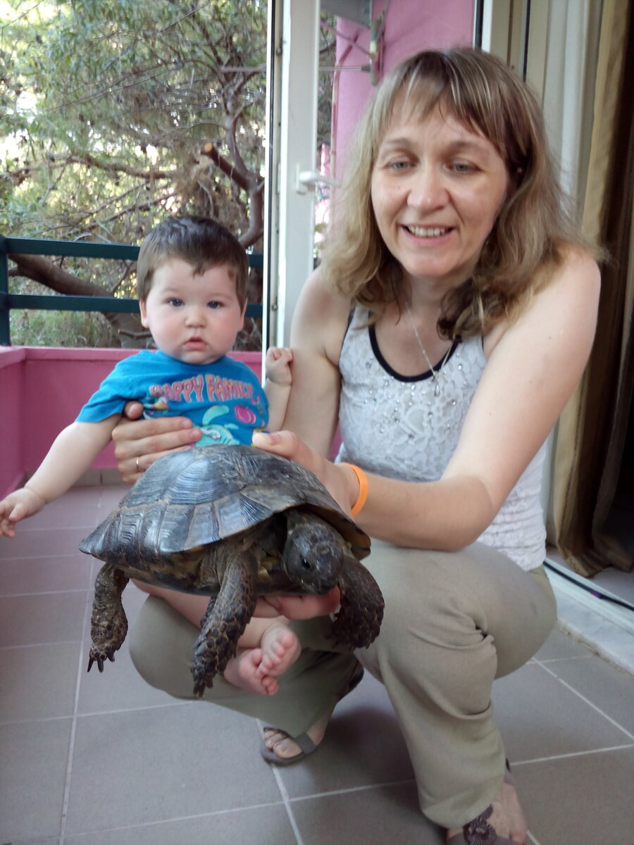 Вот так черепаха!