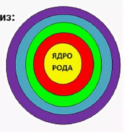 Каждый род. Строение рода. Структура рода. Родовая структура. Ядро рода.