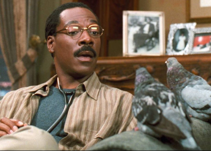 доктор дулиттл с эдди мерфи фильм. доктор дулиттл эдди. доктор дулиттл с эдди мерфи фильм. эдди мерфи доктор дулиттл. фильм доктор дулиттл 1998 дулиттл.