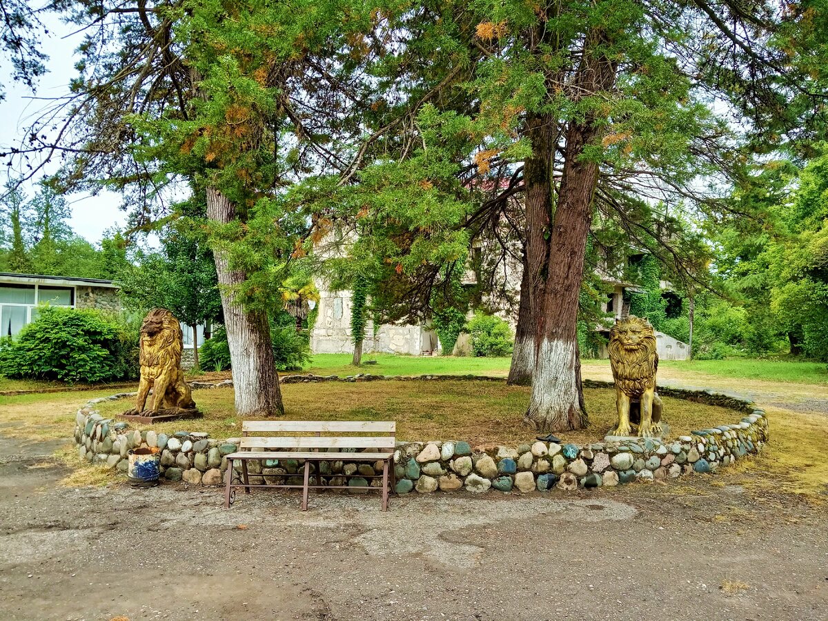 Центральная площадка базы отдыха Тамыш, июнь 2019 г.