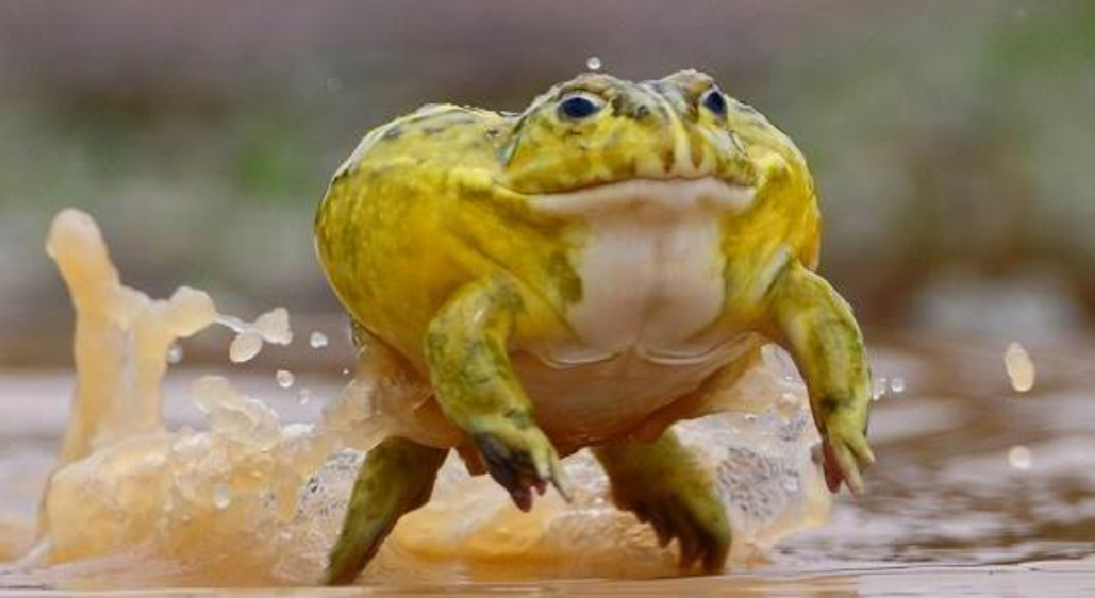 фото из сети Интернет