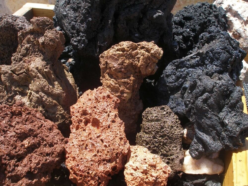 Изображение взято с Яндекс. Картинки.