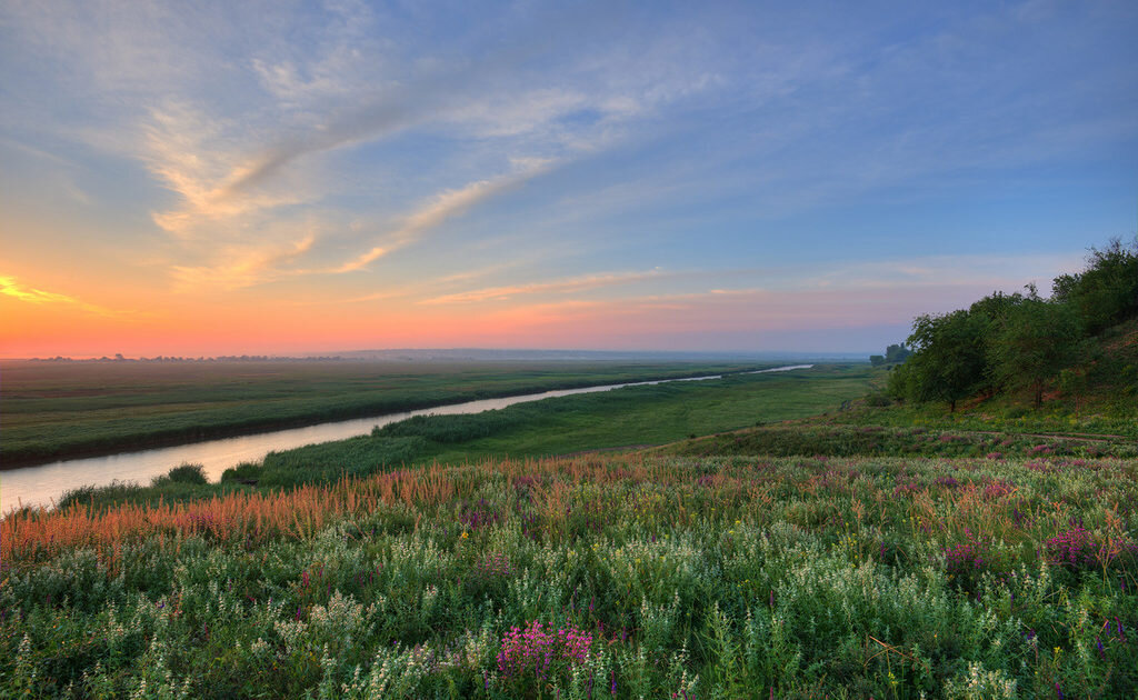 Донская степь фото