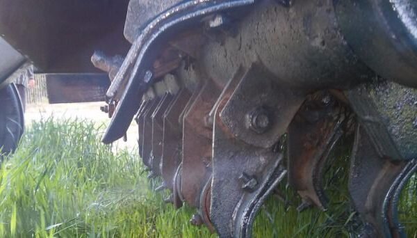 Фото из Яндекс Картинки