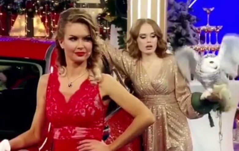 Фото взято из доступных источников в instagram