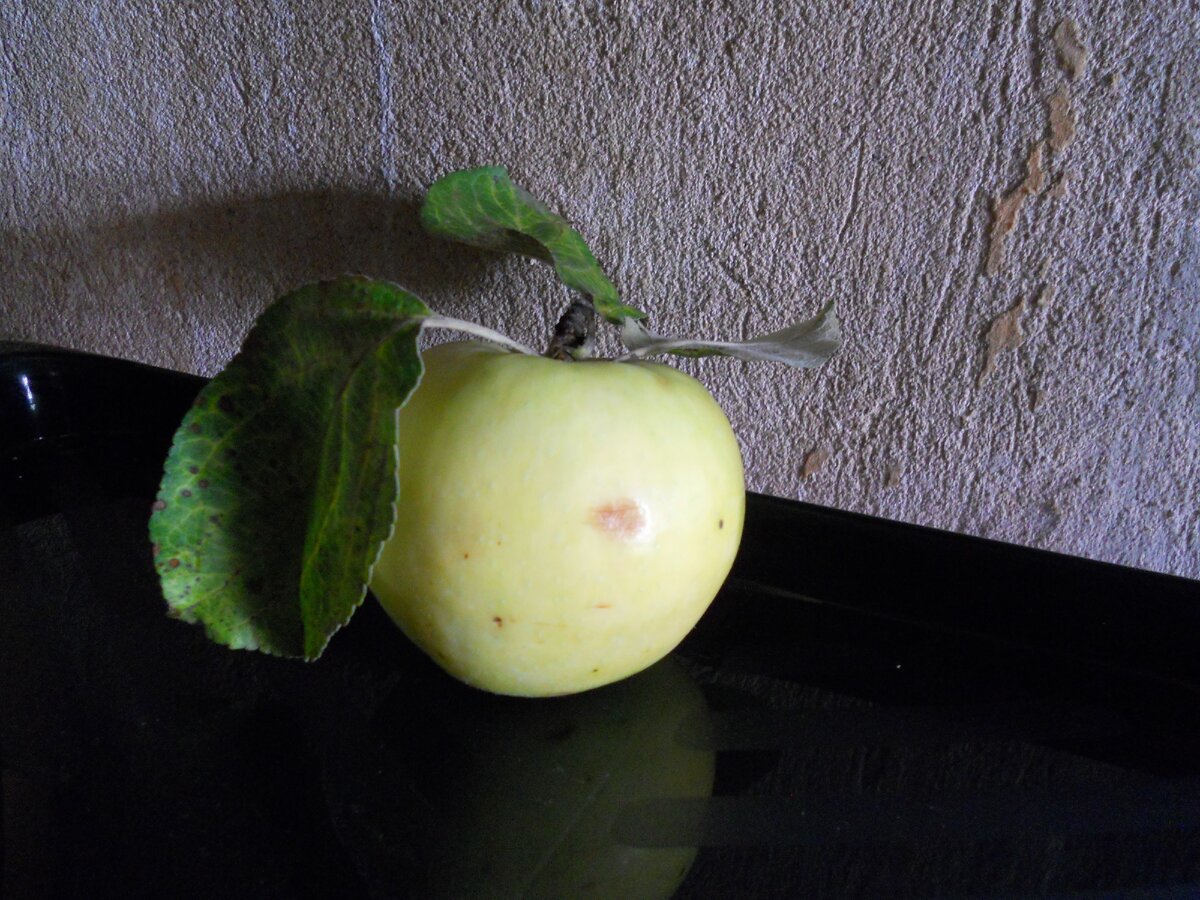  самое малокалорийное и с нулевой жирностью