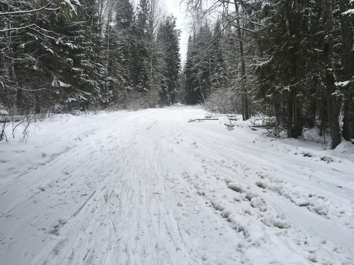 Ивановская область, Ивановский район.