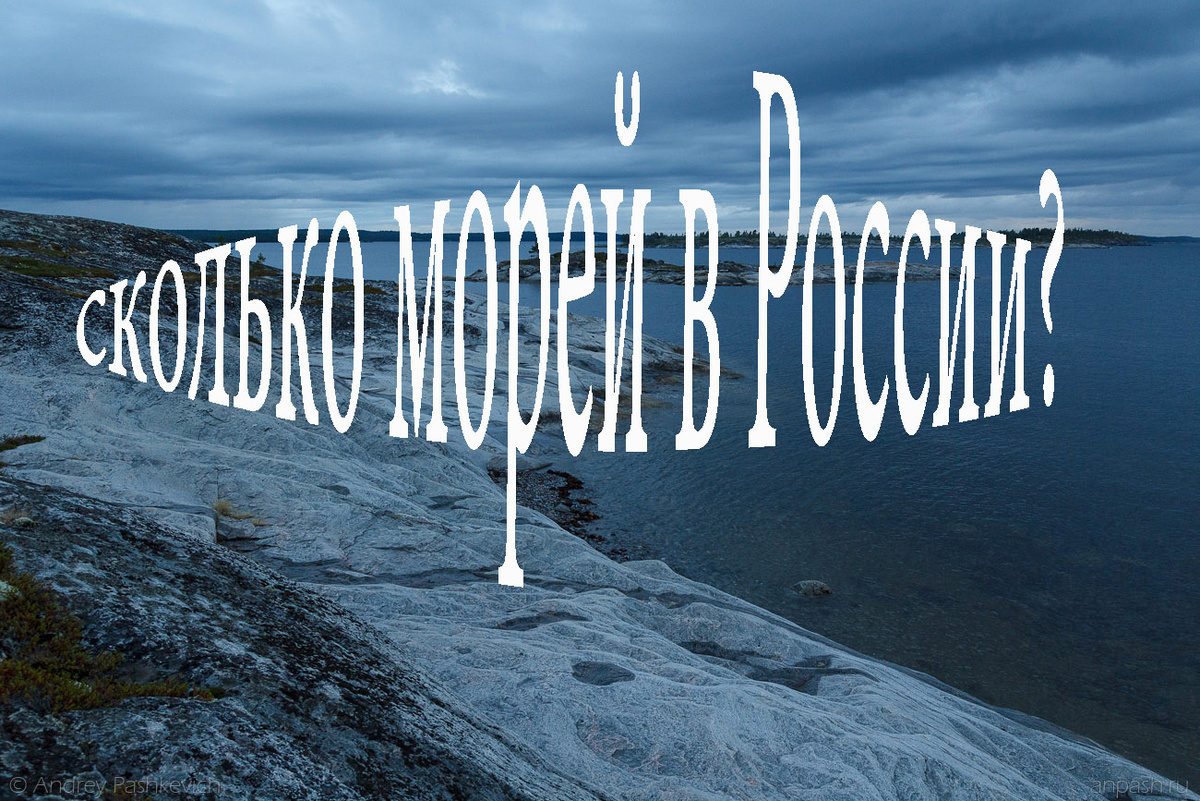 картинка автора