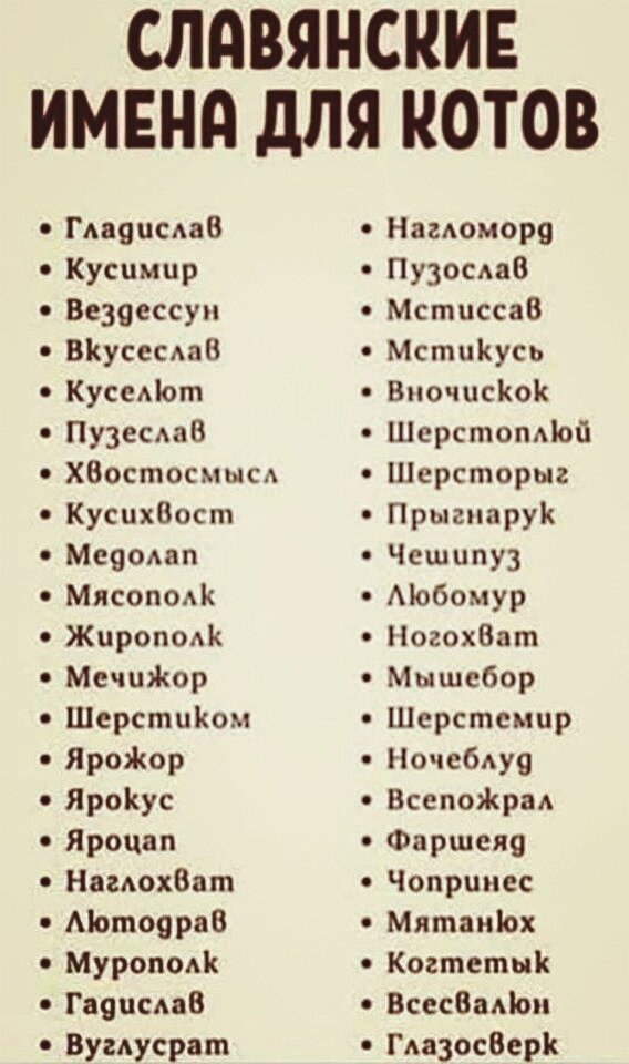 Имена