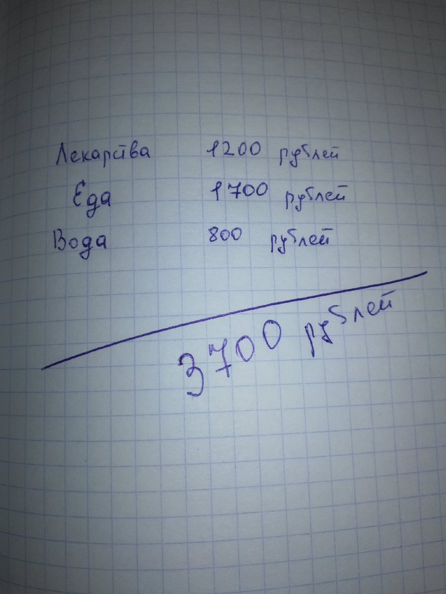 Тот самый счёт. Самой интересно: как можно потрать воды на 800 рублей за 2 дня? Но это скорее всего всё вместе: супы, чай, кофе, водопровод и т. п.