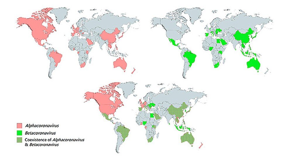 Карта из рецензируемого научного журнала Viruses (2019, 11, 174; doi:10.3390/v11020174.)