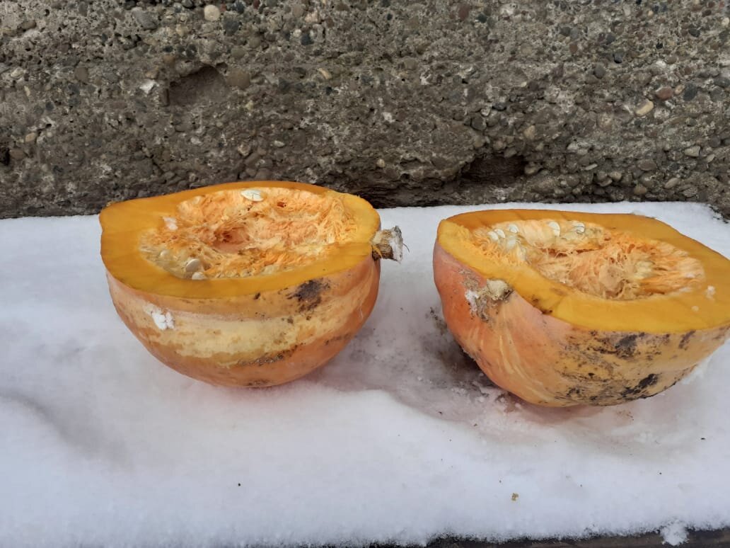 У нас еще снег