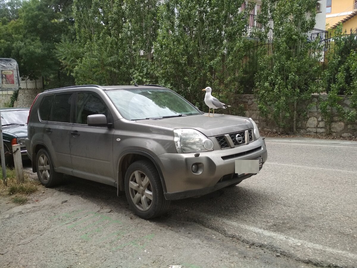 Новый Lada Largus или поддержанный Nissan X-trail? | Алексей Кунгуров | Дзен