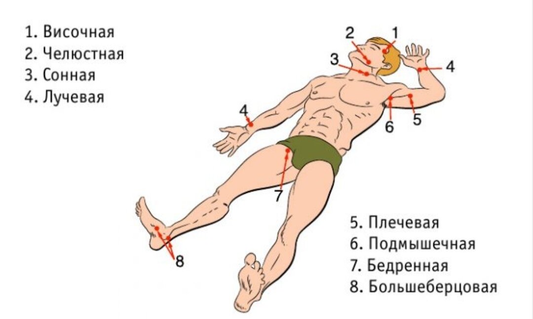 Расположение 