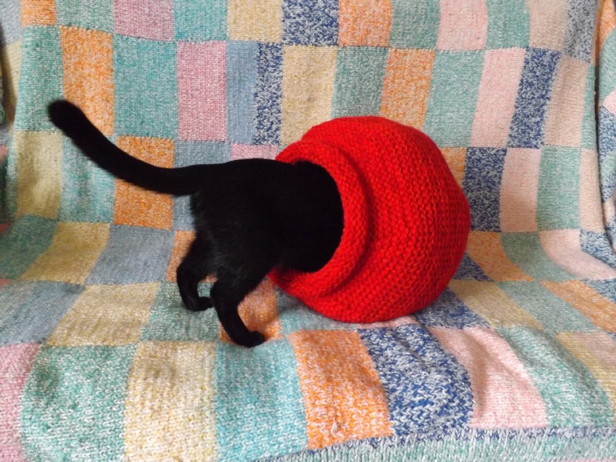 Не смогла в своём архиве подобрать более подходящее фото. Так что вот вам наша Мася... ну, или часть её ;-)