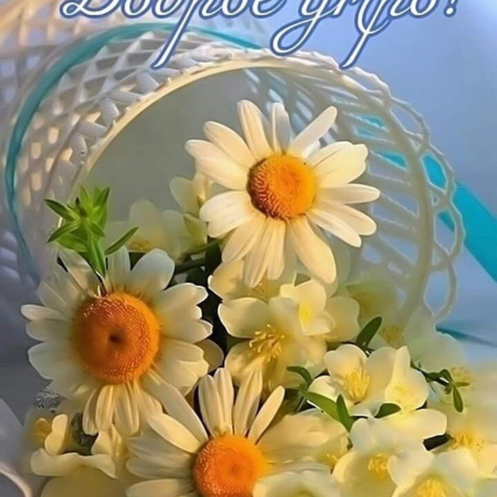 Делать мир красивее — главная миссия компании Aurora   !  Мы приглашаем вас разделить эту философию вместе с нами! 
Мы убеждены, что красота внутри и вокруг нас является прямым следствием тех решений, которые мы принимаем каждое мгновение, каждое “сейчас”. Эти решения формируют наш характер, наши привычки, наш образ жизни, а как следствие — нашу судьбу.

Мы верим, что каждый может выбрать себе тот образ жизни, которого заслуживает, а выбрать и заслужить его можно — только сейчас, в это мгновение!

Только начав с самого себя, можно преобразовать окружающий мир и в полной мере насладиться его богатством, радостью и многообразием.

Люди, сделавшие свой выбор в пользу активного долголетья, персональной ответственности и как следствие — осознанности, всегда рады делиться своими секретами здоровой, полноценной жизни с другими. Забота о своем здоровье — это первый, осознанный шаг на пути к внутренней гармонии и красоте.

Именно в этом мы и определяем свою миссию — «Делать мир красивее!». 🔹🔹 Появились вопросы , хотите приобрести продукт , пишите мне в личку !!! 👍👍